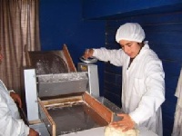 Ahora estamos en la red